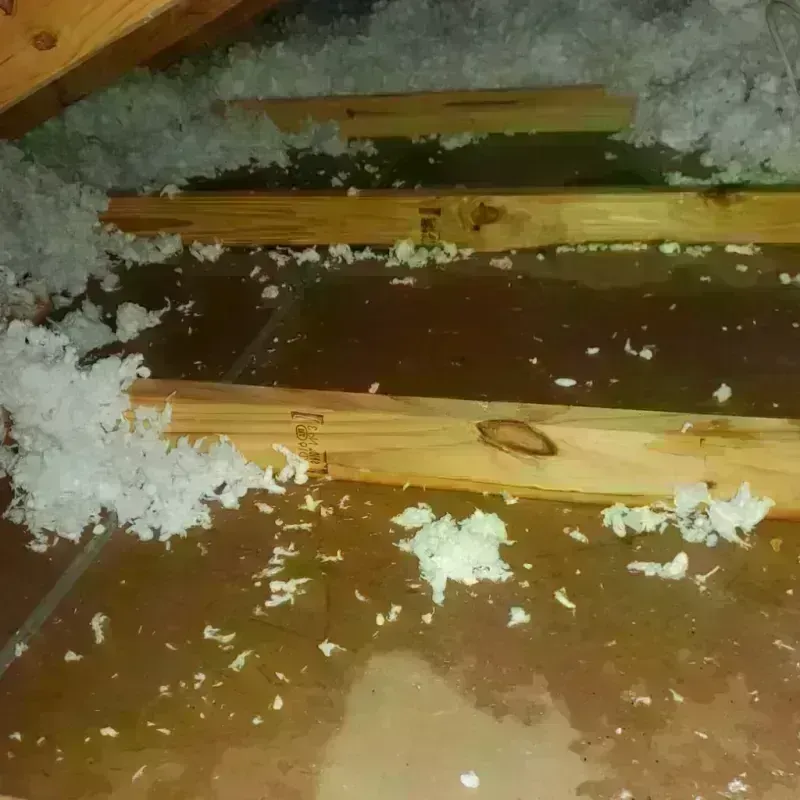 Attic Water Damage in Carthage, IL