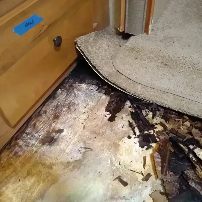 Wood Floor Water Damage in Carthage, IL